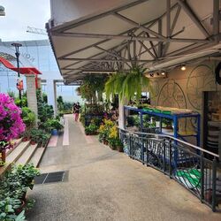 Kovan City (D19), Retail #569183761